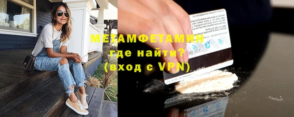 сатива Козловка