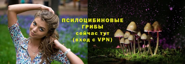 наркотики Алексин