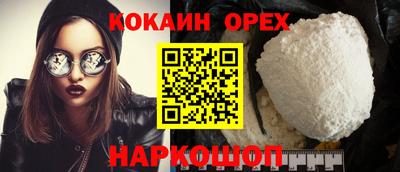 индика Кингисепп