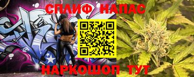 индика Кингисепп