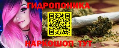 индика Кимры