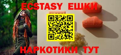 индика Кингисепп