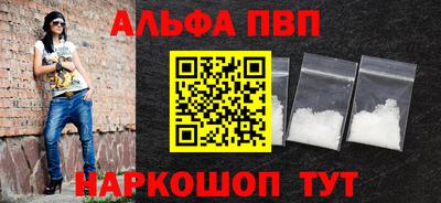 индика Кингисепп