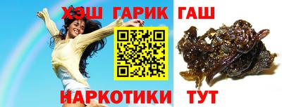 индика Кингисепп