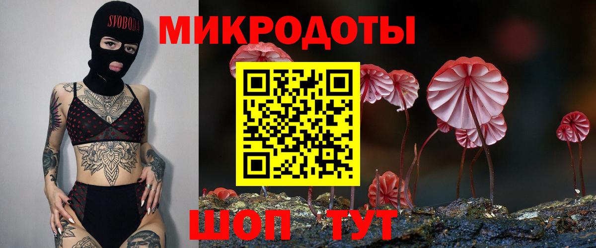 Псилоцибиновые грибы Cubensis Магнитогорск